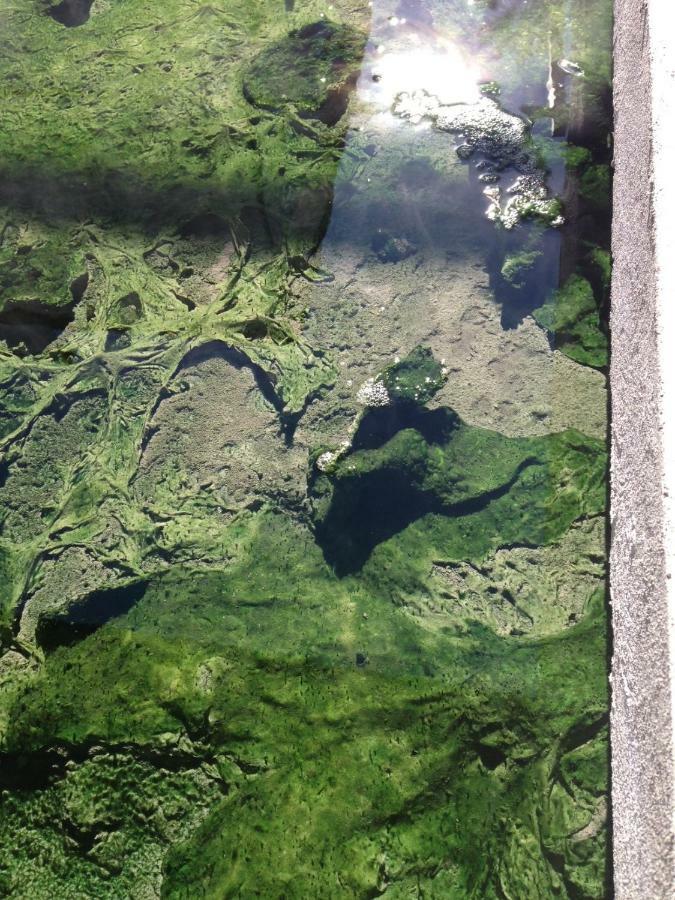 Hotel Terme Principe Abano Terme Zewnętrze zdjęcie